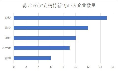蘇北五市52家“小巨人”入選國家隊，化工賽道彰顯江蘇制造業韌性優勢